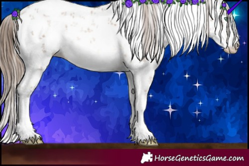 Horse Color:White Spotted Brown Pearl Sabino Rabicano 