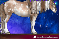Horse Color:White Spotted Liver Chestnut Pearl Sabino Rabicano 
