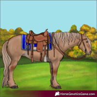 Horse Color:Red Dun 