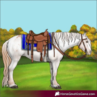 Horse Color:Red Roan Splash Varnish 
