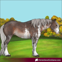 Horse Color:White Spotted Silver Brown Mushroom Rabicano