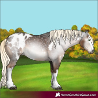 Horse Color:Gray White Spotted Liver Chestnut Mushroom Blanket