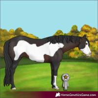Horse Color:Brown Frame 