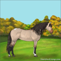Horse Color:Bay Dun Tobiano 