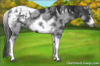 Horse Color:White Spotted Black Splash Tobiano Frame Blanket 