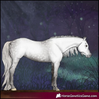 Horse Color:Gray Silver Black 