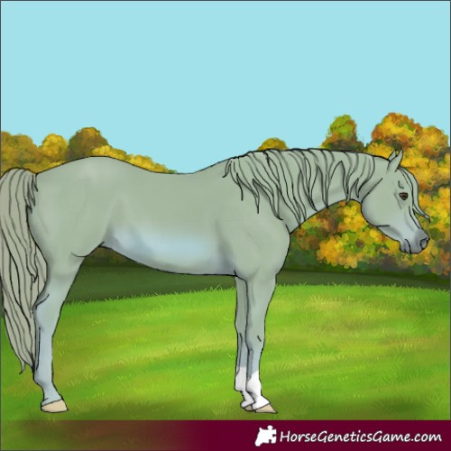 Horse Color:Watercolor Chestnut