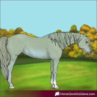 Horse Color:Watercolor Chestnut 
