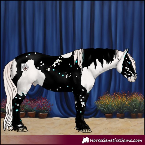 Horse Color:Perlino Splash Tobiano Rabicano 