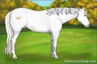 Horse Color:Perlino Roan Tobiano Fewspot 