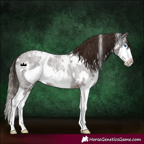 Horse Color:White Spotted Liver Red Roan Splash Frame Rabicano 