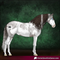 Horse Color:White Spotted Liver Red Roan Splash Frame Rabicano