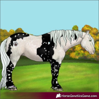 Horse Color:Watercolor Silver Sable Champagne Ice Dun Tobiano