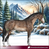 Horse Color:Brown Dun Sabino Brindle