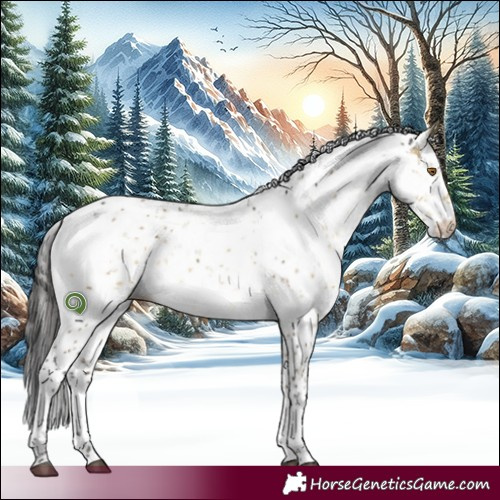 Horse Color:Buckskin Dun Sabino Brindle 