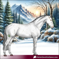 Horse Color:Buckskin Dun Sabino Brindle 