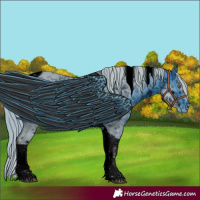 Horse Color:ERROR: UNKNOWN ANOMALY