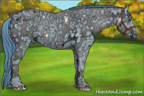 Horse Color:ERROR: UNKNOWN ANOMALY