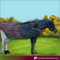 Horse Color:ERROR: UNKNOWN ANOMALY