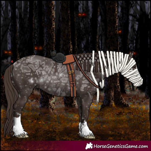 Horse Color:Liver Chestnut Ice Rabicano 