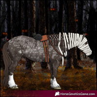 Horse Color:Liver Chestnut Ice Rabicano