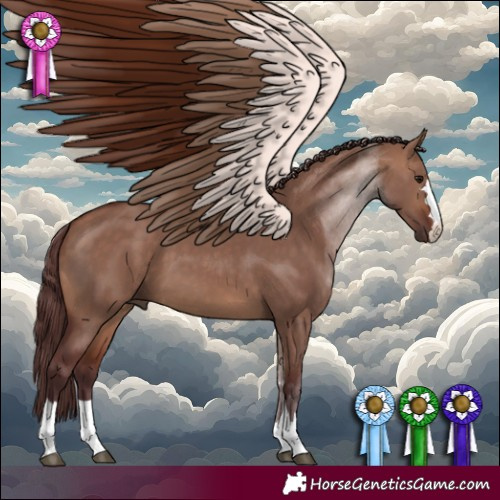 Horse Color:Chocolate Bay Dun