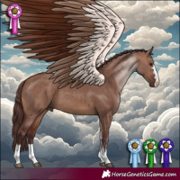 Horse Color:Chocolate Bay Dun 