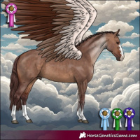 Horse Color:Chocolate Bay Dun 