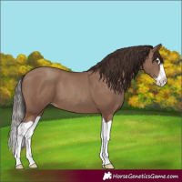 Horse Color:Classic Champagne Splash 