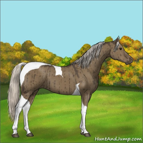Horse Color:Silver Smoky Grullo Tobiano Brindle