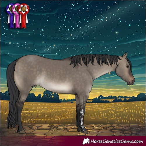 Horse Color:Brown Dun 