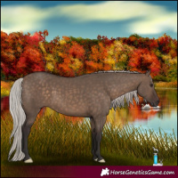 Horse Color:Silver Brown Dun 