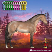 Horse Color:Bay Dun