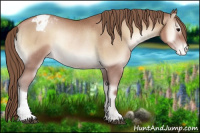Horse Color:Blue Onyx Pearl Varnish Rabicano 