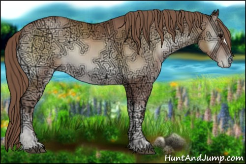 Horse Color:Blue Onyx Ice Pearl