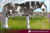 Horse Color:White Spotted Blue Onyx Ice Splash