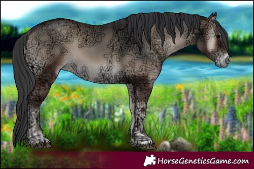 Horse Color:Blue Onyx Ice 