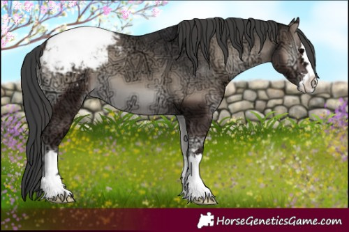 Horse Color:Blue Onyx Ice Appaloosa 