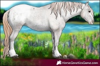 Horse Color:Blue Onyx Ice Pearl Snowcap