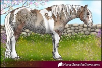 Horse Color:Silver Blue Onyx Ice Pearl Tobiano 