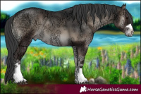 Horse Color:Blue Onyx Ice 