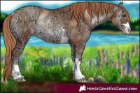 Horse Color:Blue Onyx Ice Pearl Rabicano 