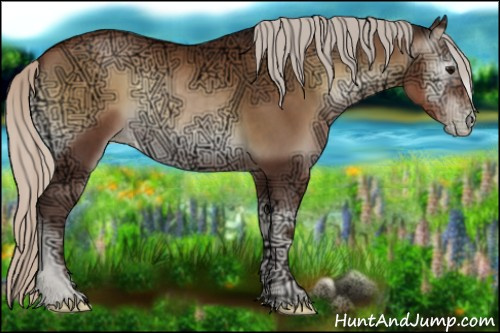 Horse Color:Gray Silver Blue Onyx Ice Pearl 