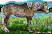 Horse Color:Gray Silver Blue Onyx Ice Pearl 