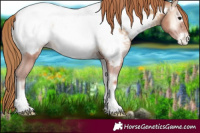 Horse Color:Blue Onyx Pearl Near Fewspot 