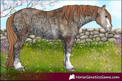 Horse Color:Blue Onyx Ice Pearl 