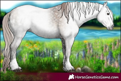 Horse Color:Gray Blue Onyx Ice Pearl Varnish 