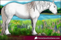 Horse Color:Gray Blue Onyx Ice Pearl Varnish 