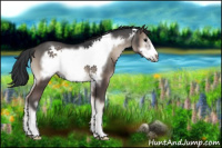 Horse Color:Blue Onyx Frame