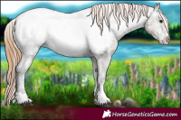 Horse Color:Blue Onyx Ice Pearl Appaloosa 